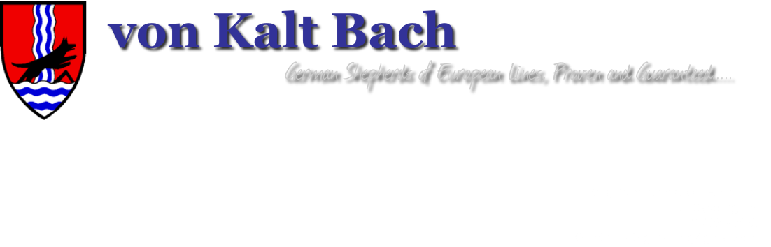 von Kalt BachGerman Shepherds of European Bloodlines... Guaranteed and Proven
